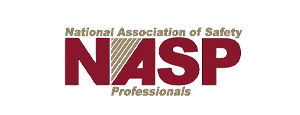 nasp-2-2.png